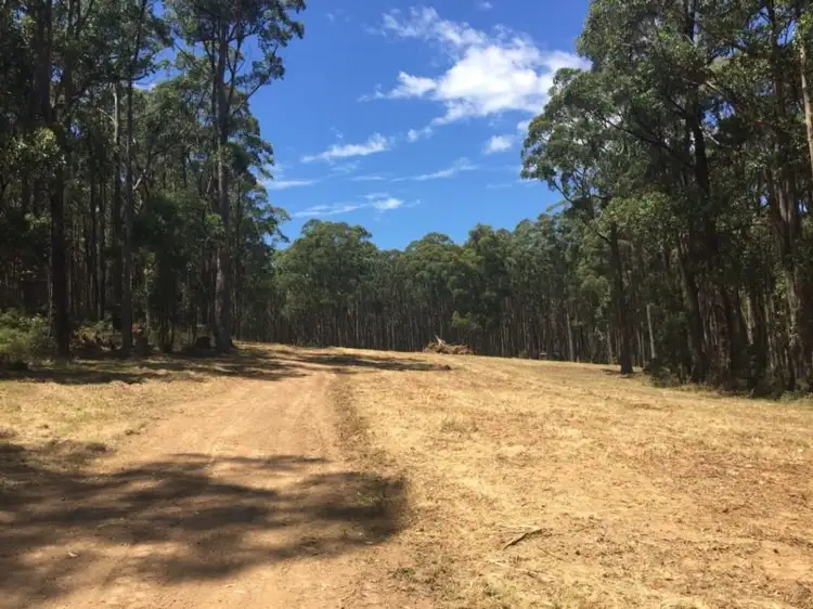 Main view of Homely land listing, LOT 2 Wallaby Track, Mollongghip VIC 3352