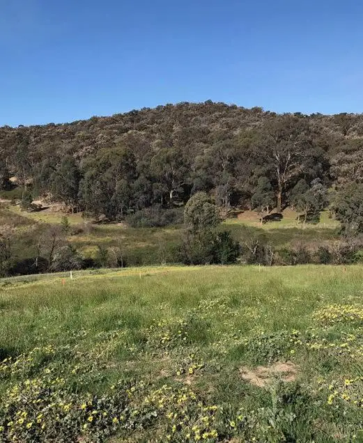 Main view of Homely land listing, 13 Rusty Gate Court, Diamond Creek VIC 3089