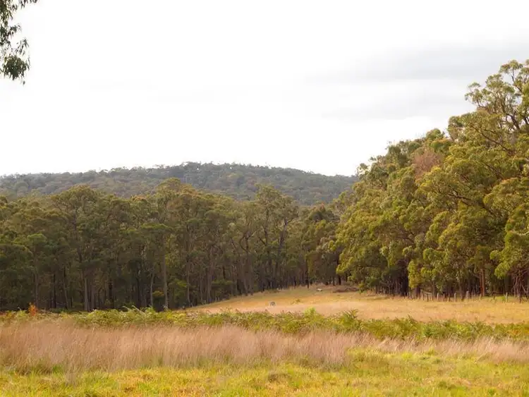 Sixth view of Homely rural property listing, 1320 Bullumwaal Road, Bairnsdale VIC 3875