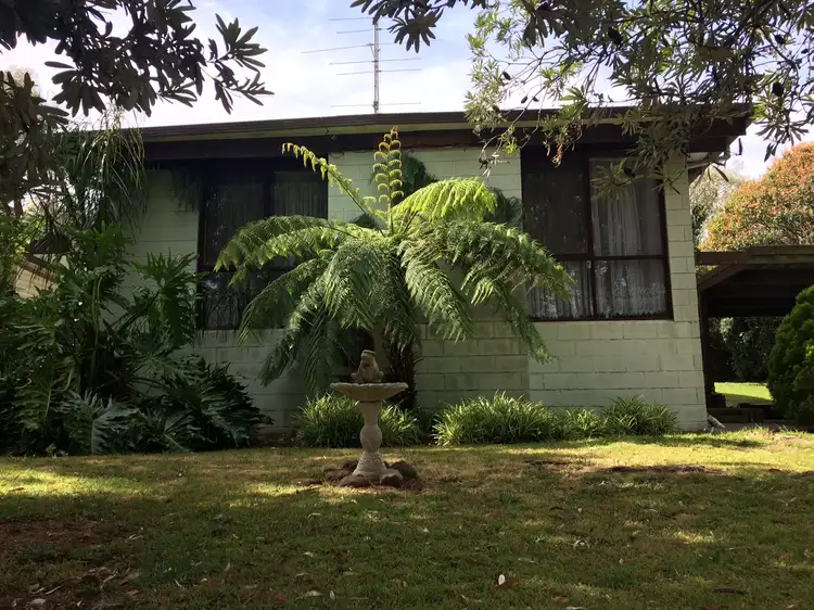 Main view of Homely house listing, 3114 Frankston - Flinders Road, Balnarring VIC 3926