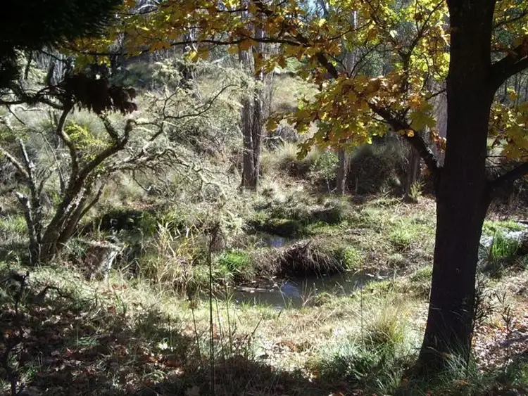 Fifth view of Homely rural property listing, 1089 Brookville Road, Swifts Creek VIC 3896