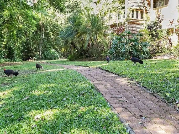 Seventh view of Homely unit listing, 3 LOT 7/132-140 Stoney Creek Road, Kamerunga QLD 4870