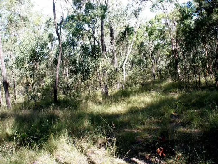 Main view of Homely land listing, 1461 Proston Boondooma Road, Coverty QLD 4613
