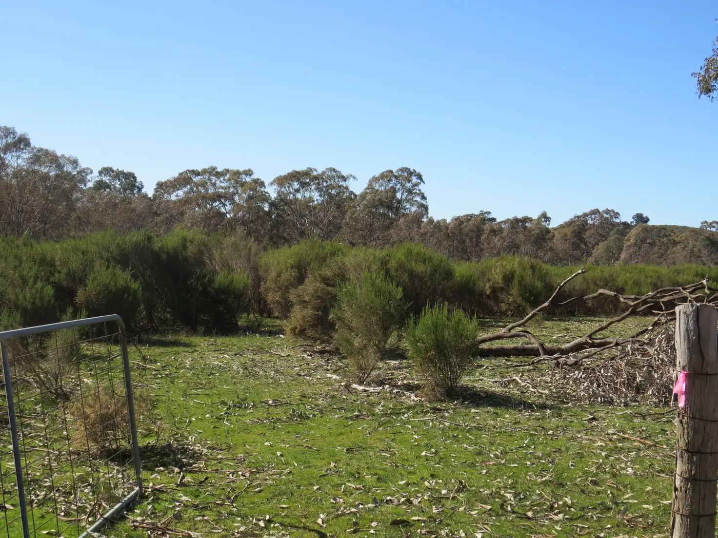 Main view of Homely land listing, LOT 16E HYLANDS LANE, Heathcote VIC 3523