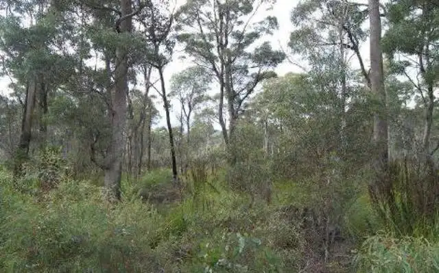 Third view of Homely land listing, 306 Prossers Road, Nunamara TAS 7259