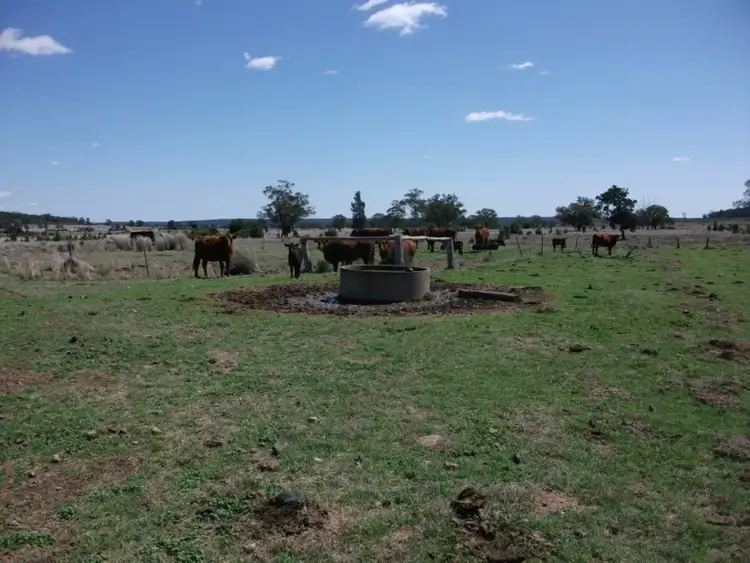 Second view of Homely rural property listing, 226 Wambianna Rd, Wyaga QLD 4390