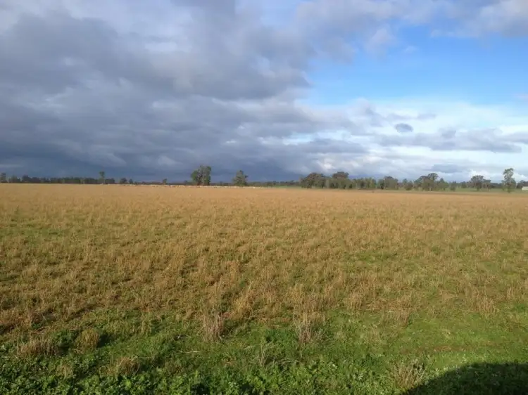 Third view of Homely rural property listing, 2791 Sturt Highway Collingullie via Wagga Wagga, Wagga Wagga NSW 2650