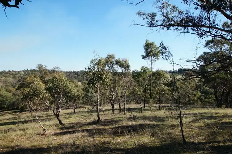 Fourth view of Homely rural property listing, 109 Salvo Bend Road, Berringa VIC 3351