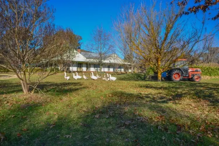 Sixth view of Homely rural property listing, 257 Desmonds Road, Boorolite VIC 3723