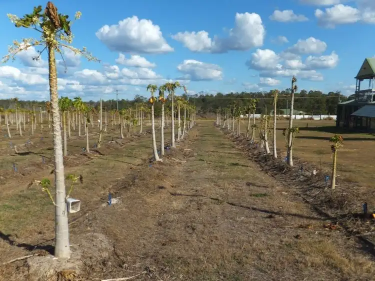 Third view of Homely rural property listing, 42 REDRIDGE CRESCENT, Redridge QLD 4660