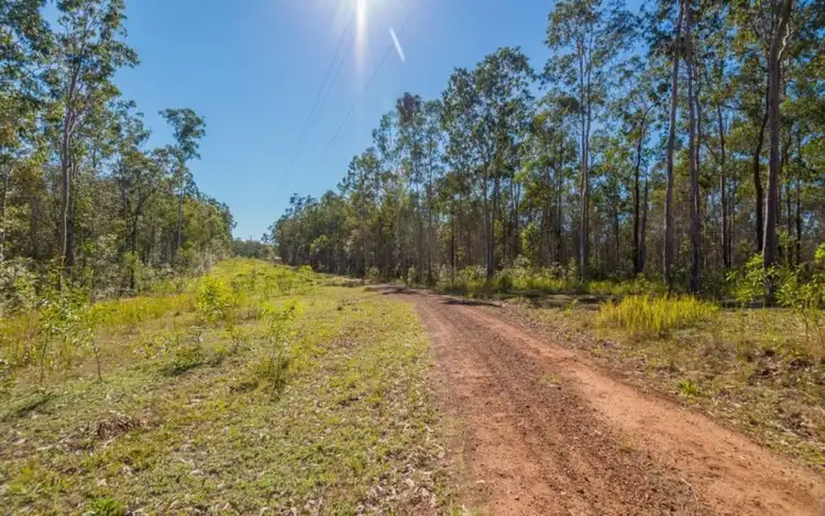 Fourth view of Homely rural property listing, 768 Coaldale Road, Fortis Creek NSW 2460