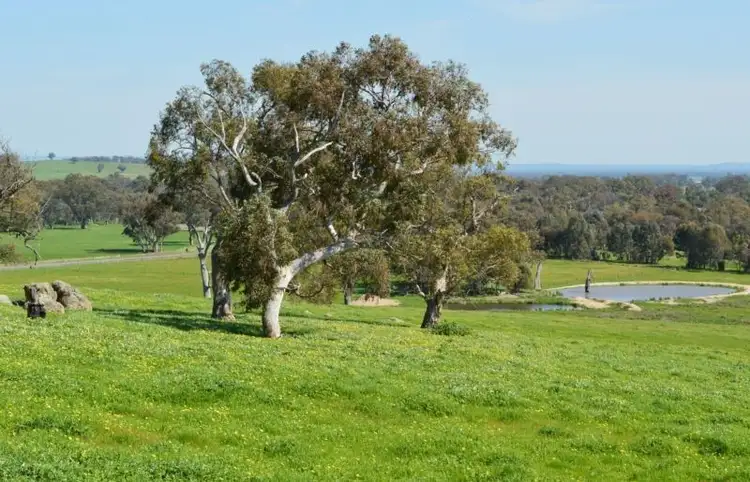 Second view of Homely rural property listing, Gayfer Road, Springhurst VIC 3682