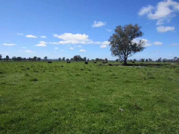 Seventh view of Homely rural property listing, Address available on request