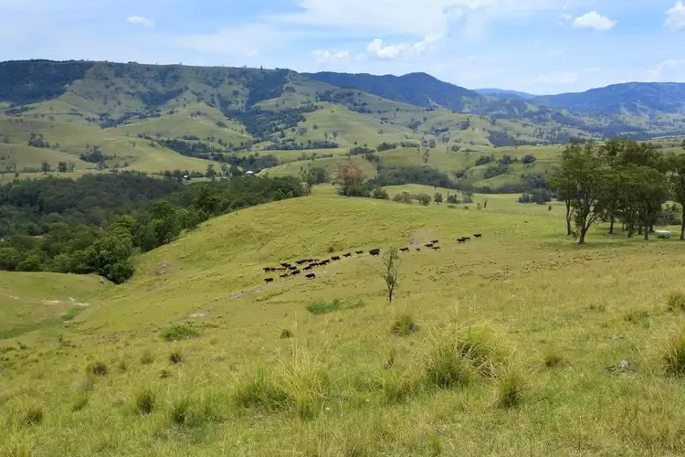 Main view of Homely land listing, 2604 Paterson River Road, Gresford NSW 2311