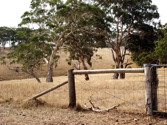 Fourth view of Homely rural property listing, Lot 51 Bullaparinga Crescent, Delamere SA 5204