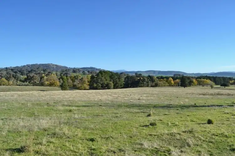 Sixth view of Homely rural property listing, LOT 2, 217 Desmonds Lane, Mansfield VIC 3722