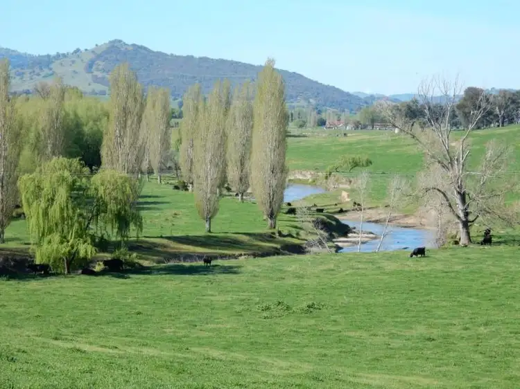 511 ELLERSLIE ROAD, Adelong NSW 2729