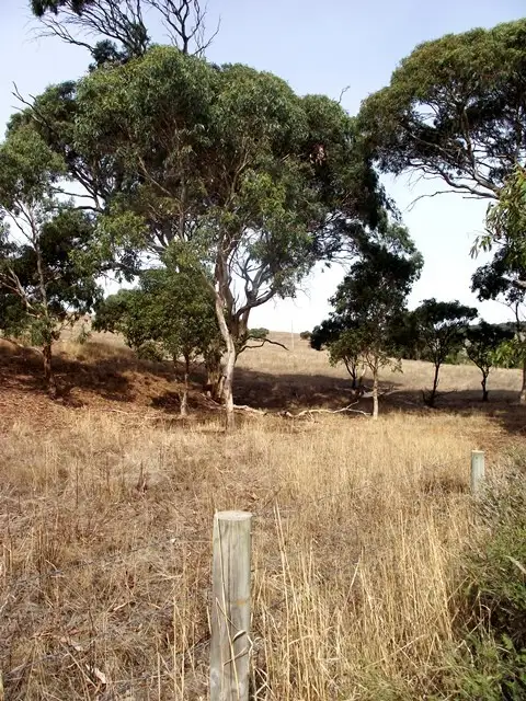Main view of Homely rural property listing, Lot 51 Bullaparinga Crescent, Delamere SA 5204