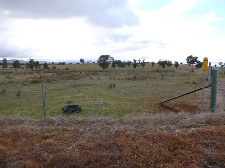 Fourth view of Homely rural property listing, 84 Cultowa Lane, Canowindra NSW 2804