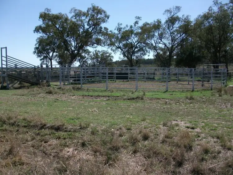 Sixth view of Homely rural property listing, 226 Wambianna Rd, Wyaga QLD 4390