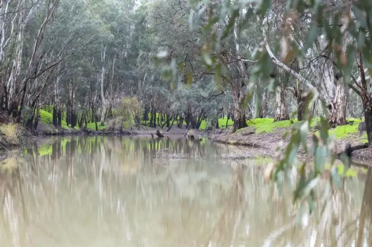 Fourth view of Homely house listing, 1748 Barnadown Road, Elmore VIC 3558