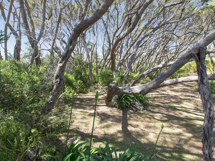 Sixth view of Homely house listing, 33 Stringer Road, Blairgowrie VIC 3942