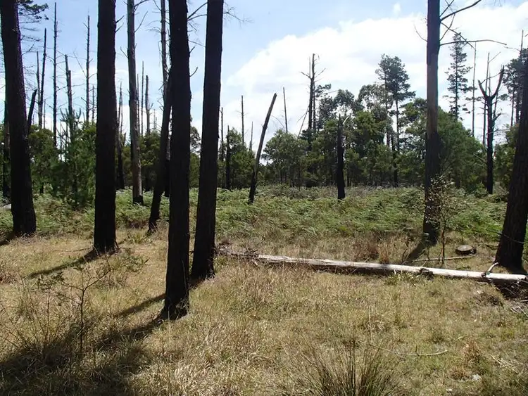 Fifth view of Homely land listing, LOT 169 Panoramic Drive, Stanthorpe QLD 4380