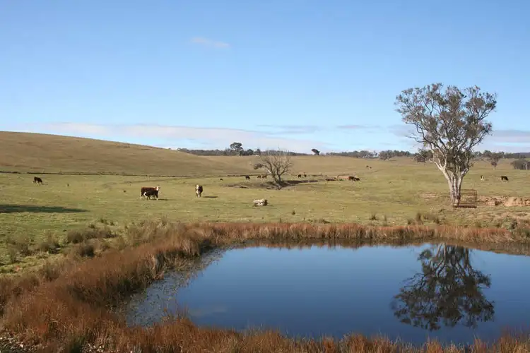 Sixth view of Homely land listing, 661 Shingle Hill Way, Gundaroo NSW 2620