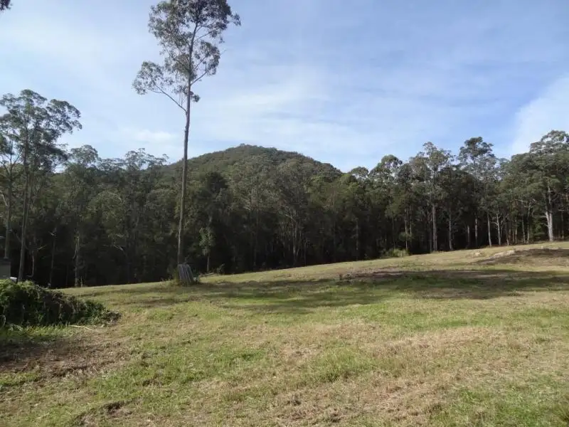 Main view of Homely land listing, 356 Mill Creek Road, Stroud NSW 2425
