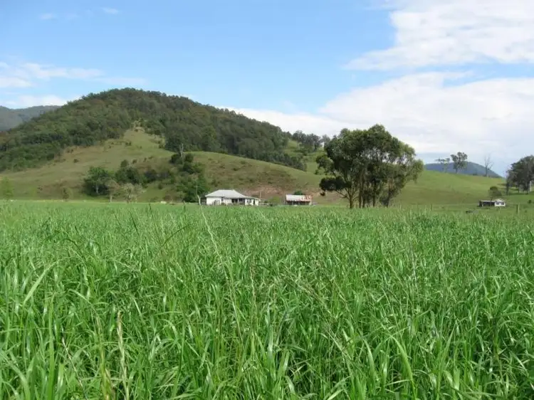 Fourth view of Homely rural property listing, 828 Upper Monkerai Road, Dungog NSW 2420