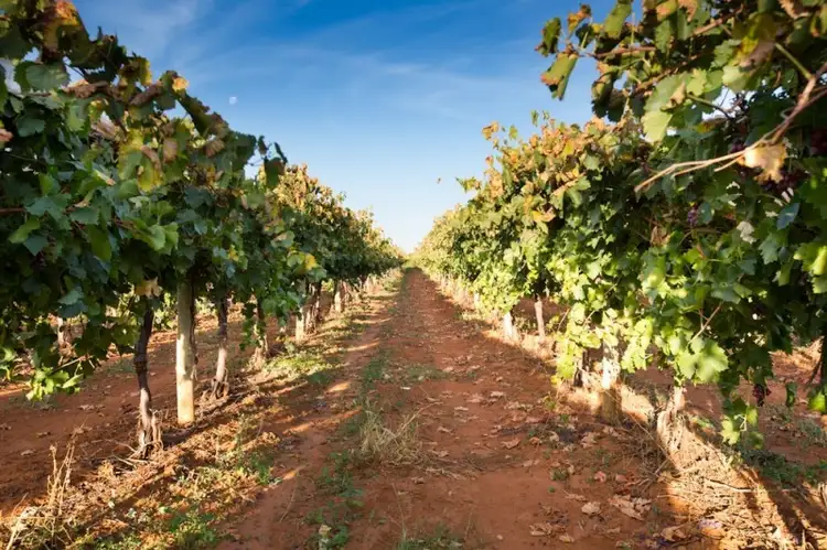 Block 294, 310, 311 Tulloch Road, Red Cliffs VIC 3496