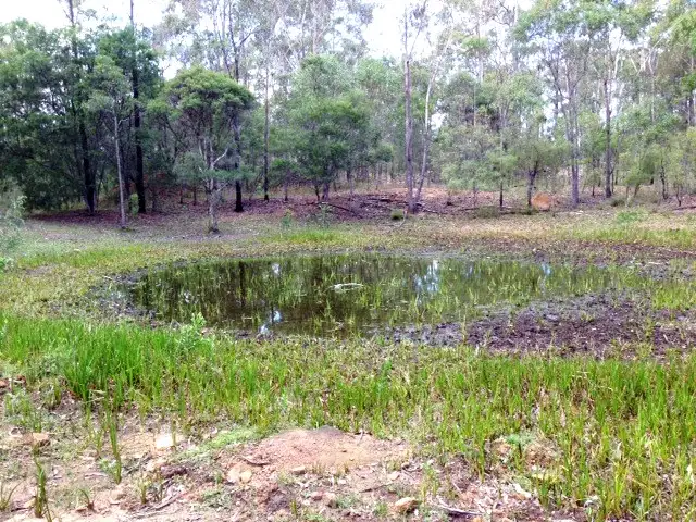 Third view of Homely rural property listing, 801 Kangaroo Creek Road, Coutts Crossing NSW 2460