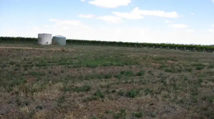 Second view of Homely rural property listing, 162 New Guinea Road, Robinvale VIC 3549