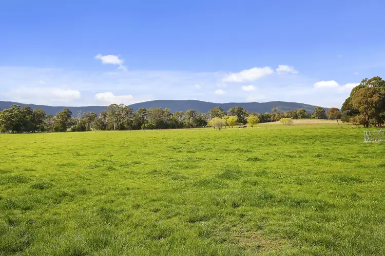 Fourth view of Homely rural property listing, Lot 4, 246 Two Hills Road, Glenburn VIC 3717