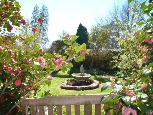 Second view of Homely rural property listing, 37 Legerwood Lane, Branxholm TAS 7261