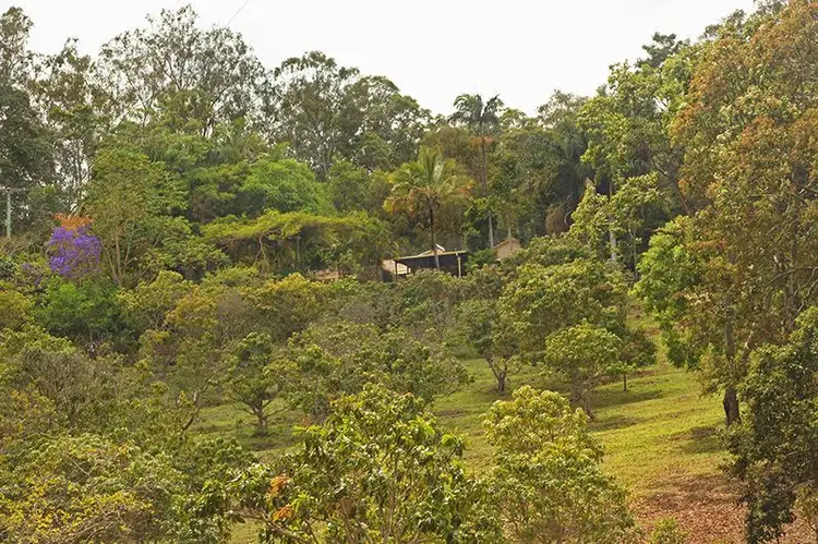 Fifth view of Homely house listing, 397 Gold Creek Road, Eerwah Vale QLD 4562