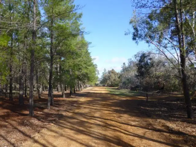 Fifth view of Homely rural property listing, 113 Kieara Road, Westdale, Beverley WA 6304
