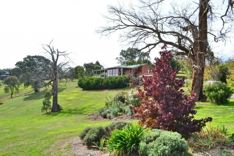 Main view of Homely house listing, 47 The Dress Circle, Mansfield VIC 3722