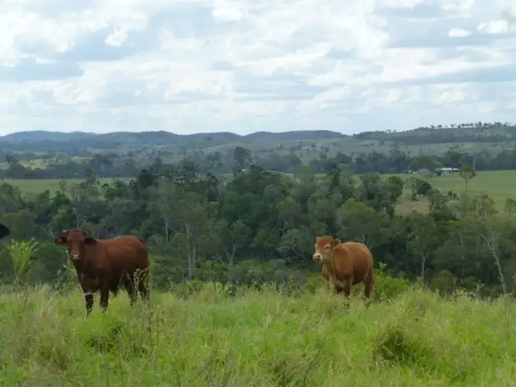 Fifth view of Homely rural property listing, 374 CORINGA ROAD, Biggenden QLD 4621