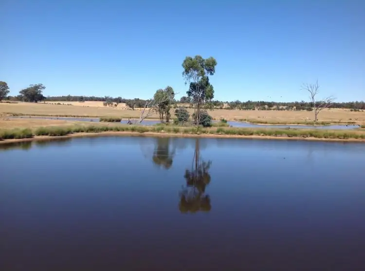 2511 OLD COOTAMUNDRA ROAD, Temora NSW 2666