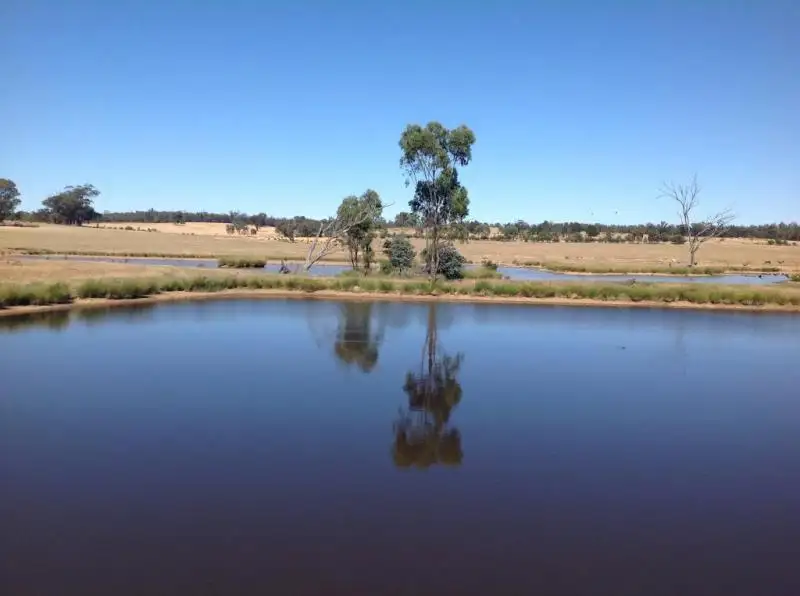 Main view of Homely rural property listing, 2511 OLD COOTAMUNDRA ROAD, Temora NSW 2666