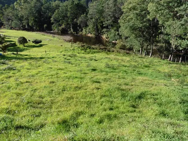 Main view of Homely land listing, * Main Street, Derby TAS 7264