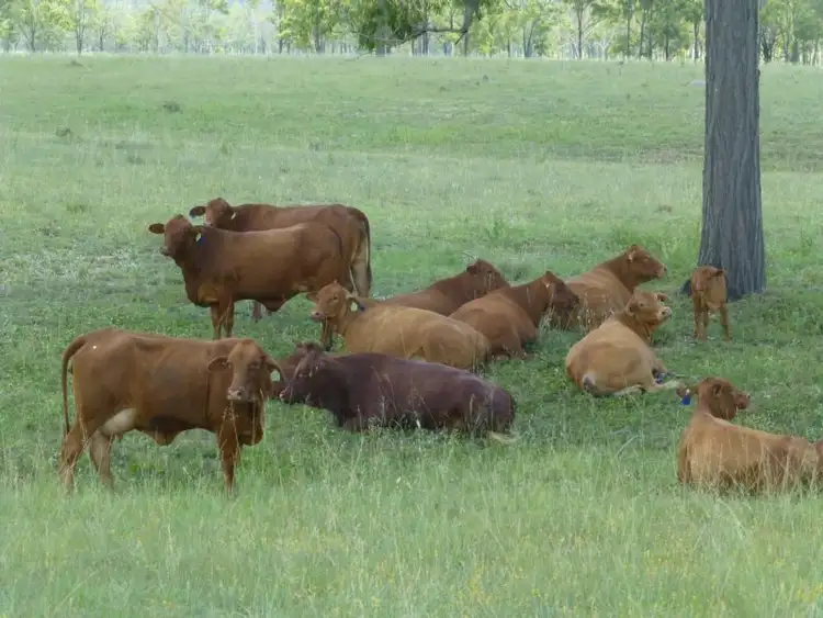Sixth view of Homely rural property listing, LOT 69 DEGILBO-MUAN ROAD, Degilbo QLD 4621