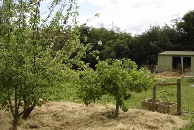 Third view of Homely rural property listing, *East Maurice Road, Ringarooma TAS 7263