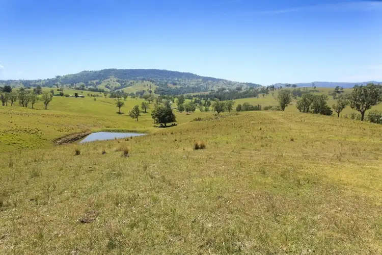 Seventh view of Homely rural property listing, 1550 Paterson River Road, Gresford NSW 2311