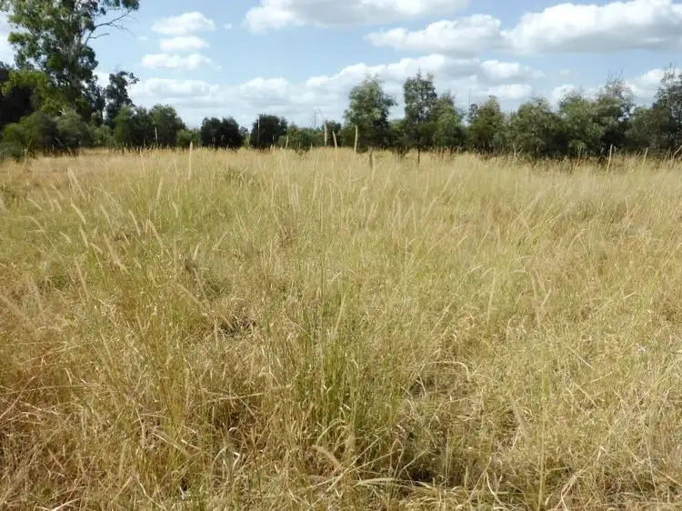 Fourth view of Homely rural property listing, Address available on request