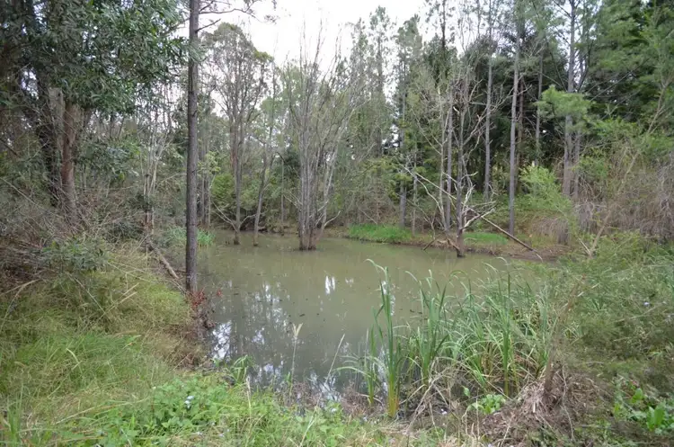 Seventh view of Homely rural property listing, LOT 02 Upper Coomera Road, Illinbah QLD 4275