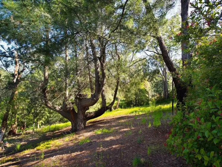 Third view of Homely land listing, LOT 2, 6 Fifth Street, Hepburn Springs VIC 3461