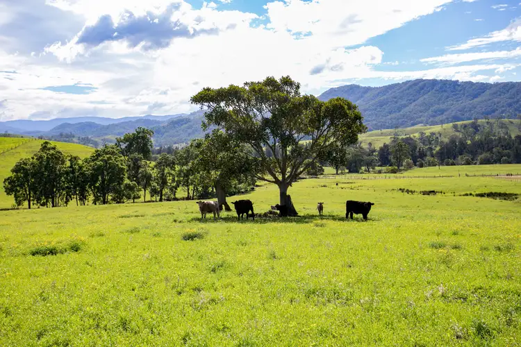 Fourth view of Homely rural property listing, 1943 Salisbury Road, Dungog NSW 2420
