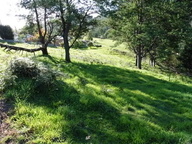 Seventh view of Homely land listing, * Main Street, Derby TAS 7264